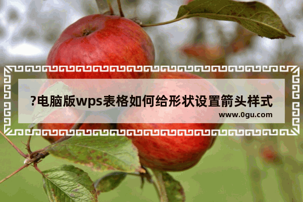 ?电脑版wps表格如何给形状设置箭头样式