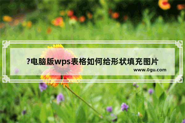 ?电脑版wps表格如何给形状填充图片