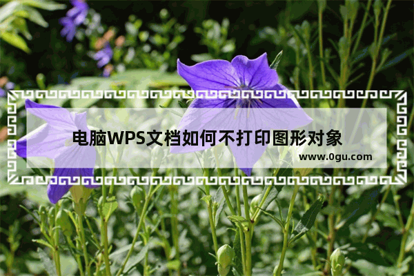 电脑WPS文档如何不打印图形对象