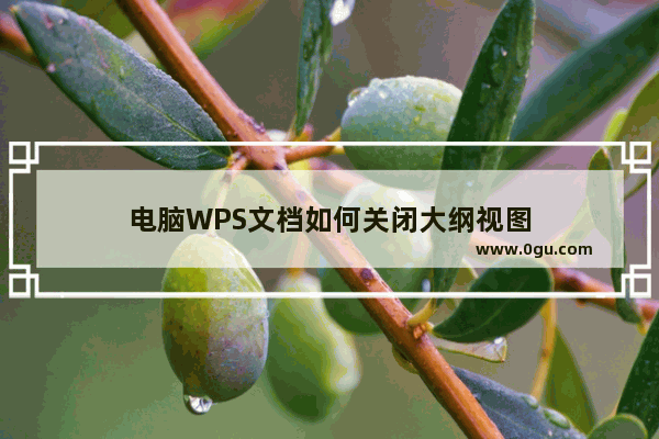 电脑WPS文档如何关闭大纲视图