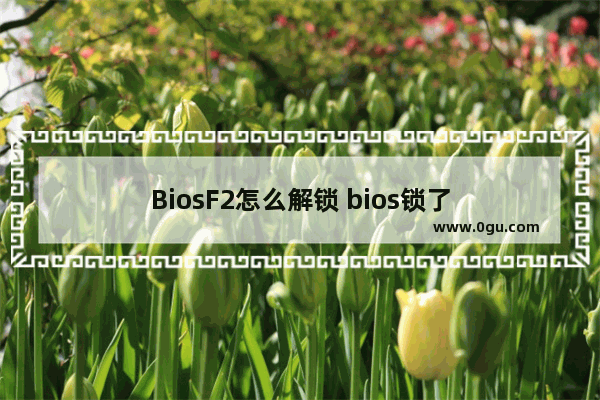 BiosF2怎么解锁 bios锁了