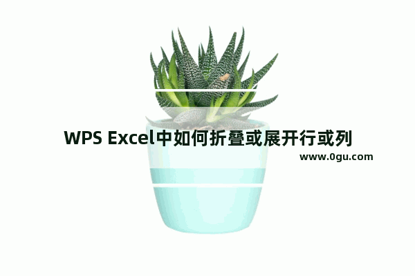 WPS Excel中如何折叠或展开行或列