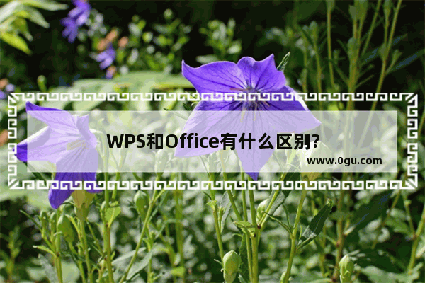 WPS和Office有什么区别?