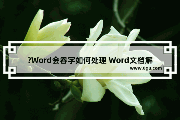 ?Word会吞字如何处理 Word文档解决吞字的方法教程