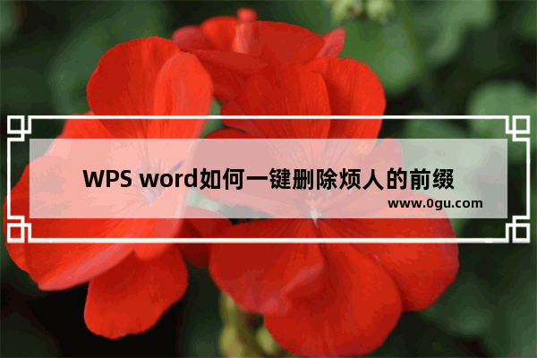 WPS word如何一键删除烦人的前缀