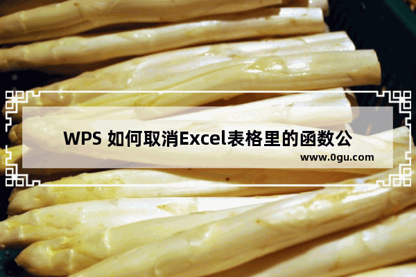 WPS 如何取消Excel表格里的函数公式