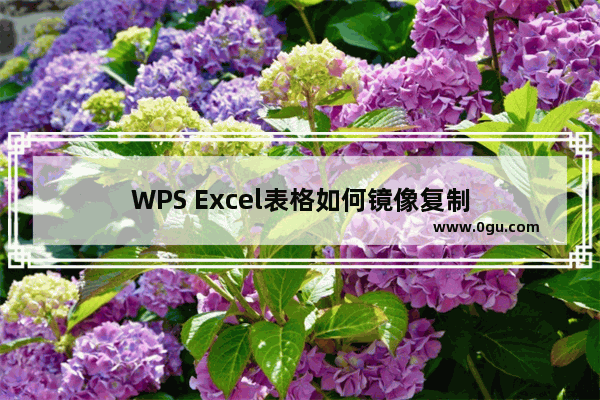 WPS Excel表格如何镜像复制