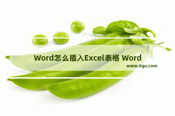 Word怎么插入Excel表格 Word插入Excel表格的方法