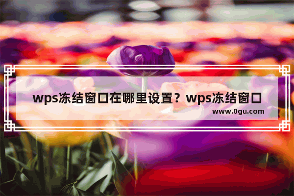 wps冻结窗口在哪里设置？wps冻结窗口设置方法