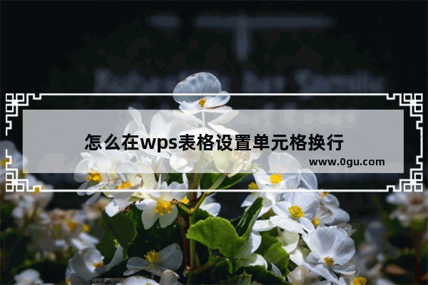 怎么在wps表格设置单元格换行