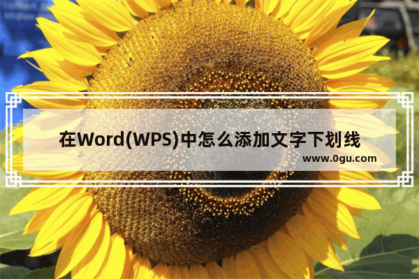 在Word(WPS)中怎么添加文字下划线并进行设置?