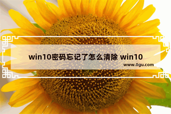 win10密码忘记了怎么清除 win10密码忘记怎么清除密码