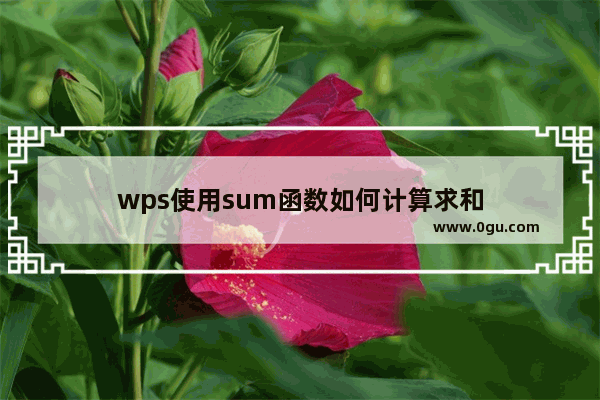 wps使用sum函数如何计算求和