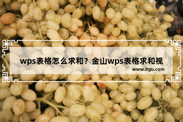 wps表格怎么求和？金山wps表格求和视频教程