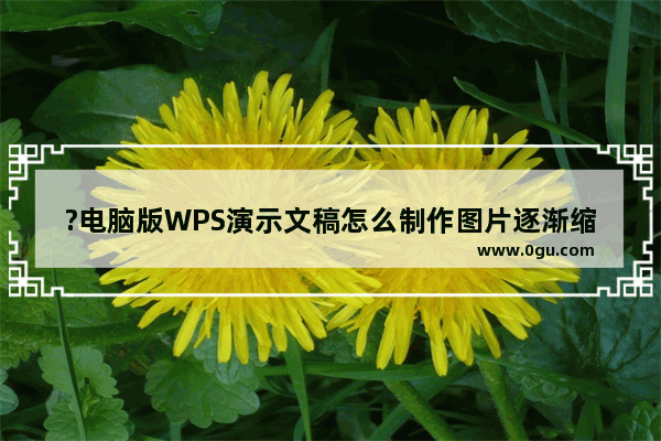 ?电脑版WPS演示文稿怎么制作图片逐渐缩小消失动画效果