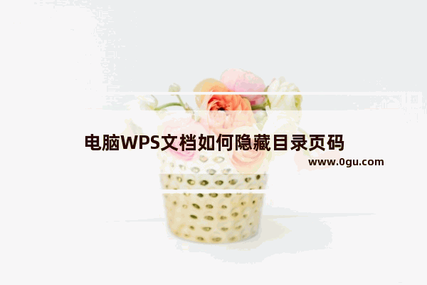 电脑WPS文档如何隐藏目录页码