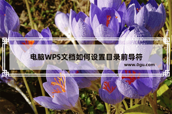 电脑WPS文档如何设置目录前导符