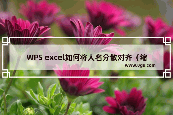 WPS excel如何将人名分散对齐（缩进）的方法