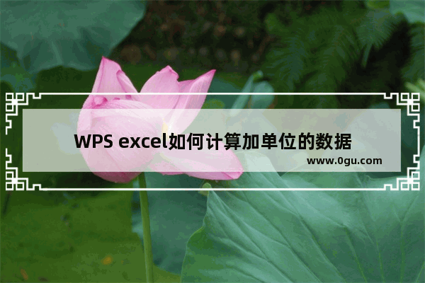 WPS excel如何计算加单位的数据