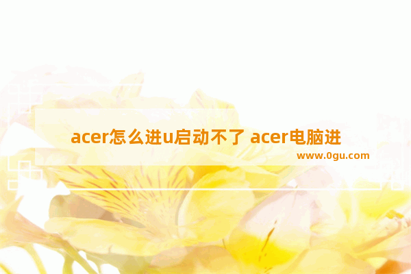 acer怎么进u启动不了 acer电脑进入u盘启动系统