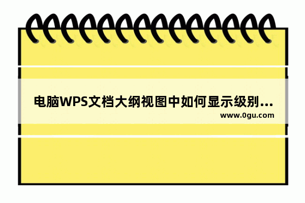 电脑WPS文档大纲视图中如何显示级别内容