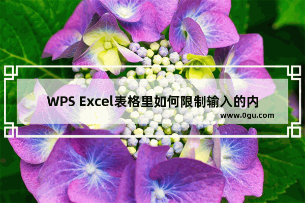 WPS Excel表格里如何限制输入的内容