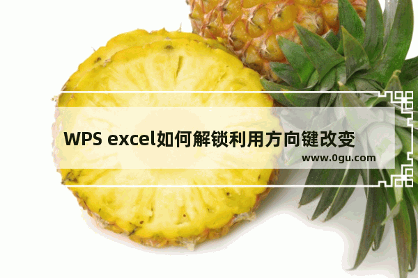 WPS excel如何解锁利用方向键改变单元格位置