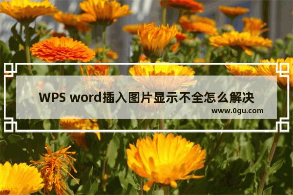 WPS word插入图片显示不全怎么解决