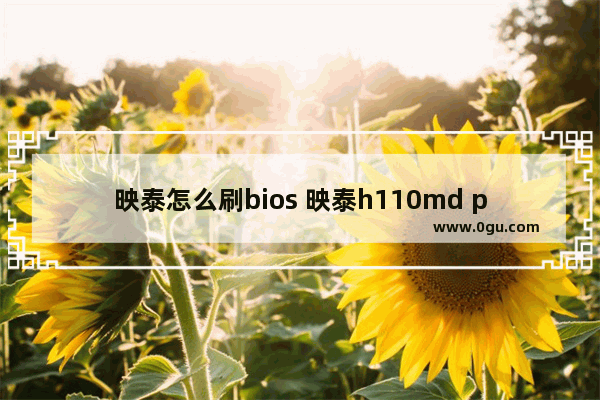 映泰怎么刷bios 映泰h110md pro刷bios