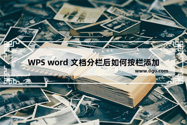 WPS word 文档分栏后如何按栏添加页码