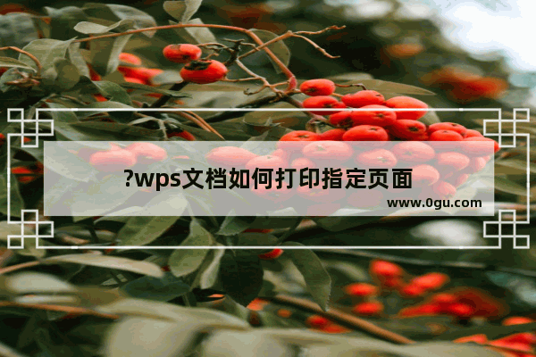 ?wps文档如何打印指定页面