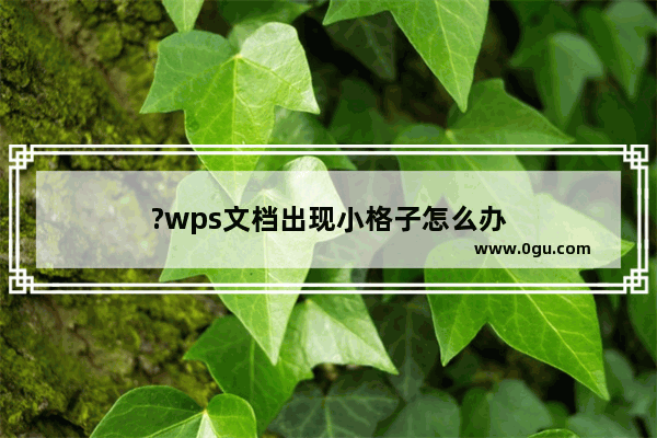 ?wps文档出现小格子怎么办