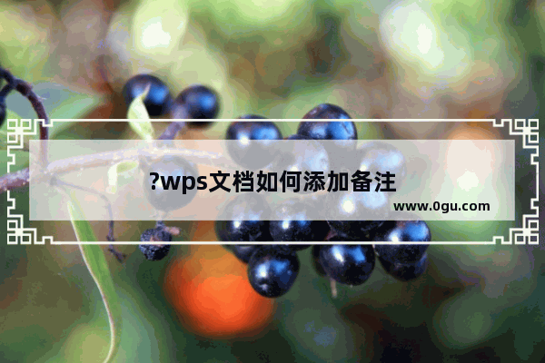 ?wps文档如何添加备注