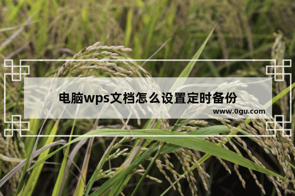 电脑wps文档怎么设置定时备份