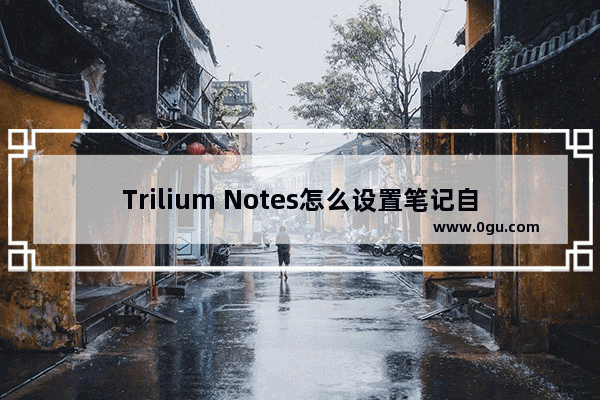 Trilium Notes怎么设置笔记自动清理时间 Trilium Notes设置笔记自动清理时间的方法