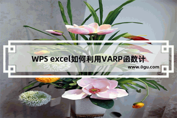 WPS excel如何利用VARP函数计算方差