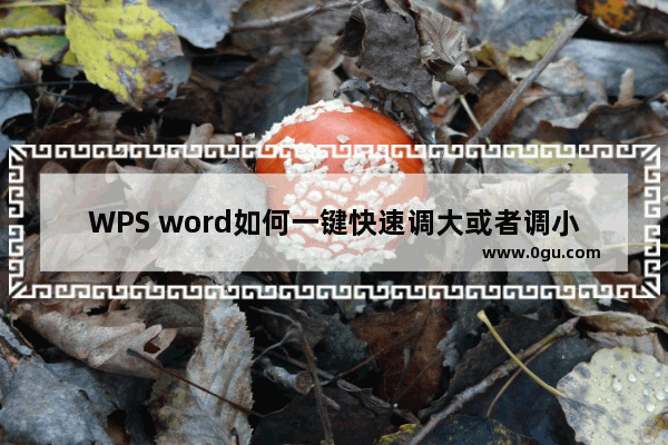 WPS word如何一键快速调大或者调小字号