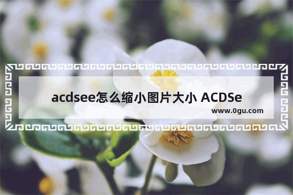 acdsee怎么缩小图片大小 ACDSee修改图片大小的方法