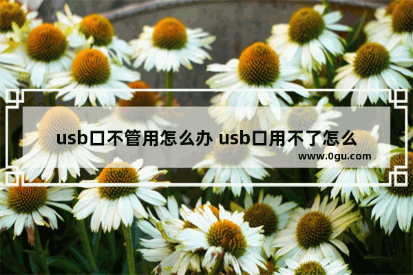 usb口不管用怎么办 usb口用不了怎么办