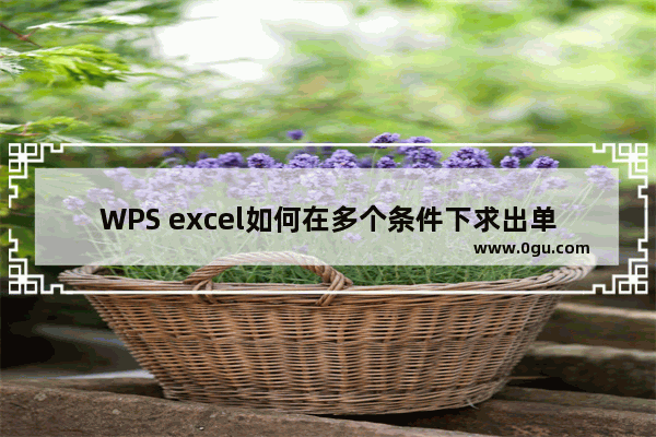 WPS excel如何在多个条件下求出单个条件的总和