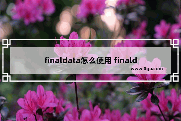 finaldata怎么使用 finaldata怎么样