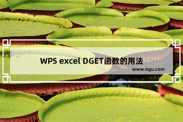 WPS excel DGET函数的用法