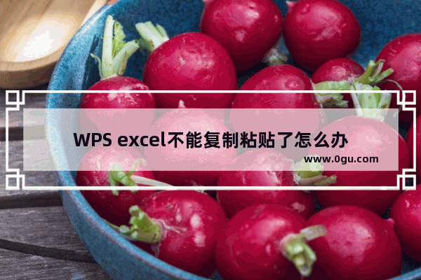 WPS excel不能复制粘贴了怎么办