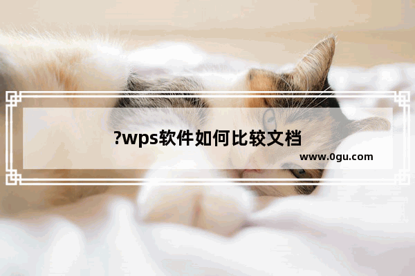 ?wps软件如何比较文档