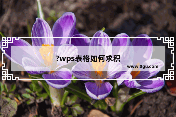 ?wps表格如何求积