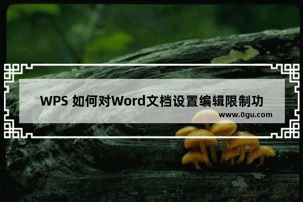 WPS 如何对Word文档设置编辑限制功能