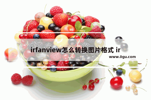 irfanview怎么转换图片格式 irfanview批量转换图片格式的方法