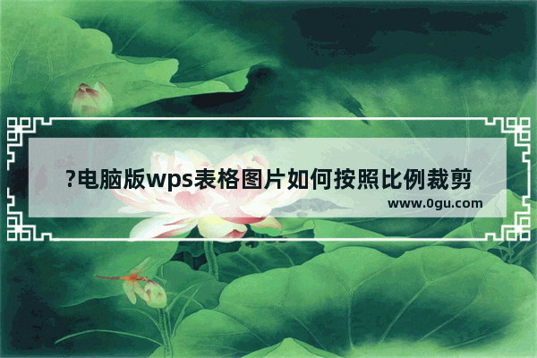 ?电脑版wps表格图片如何按照比例裁剪