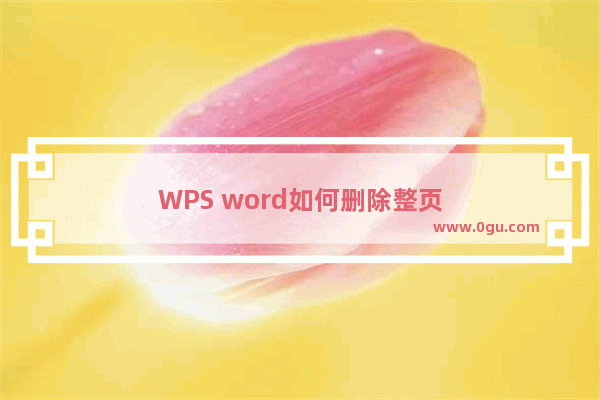 WPS word如何删除整页