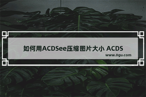 如何用ACDSee压缩图片大小 ACDSee压缩图片大小的方法